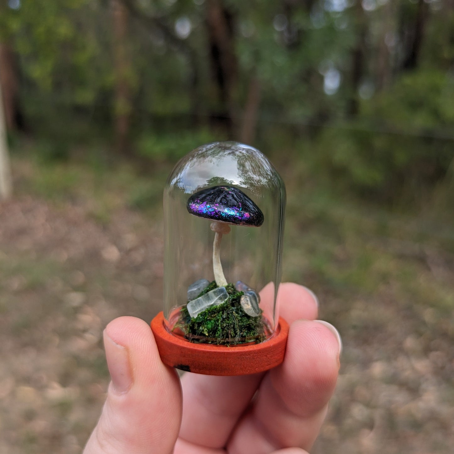 Miniature Fantasy Mushroom Terrarium Dome | Cosmic - Tall