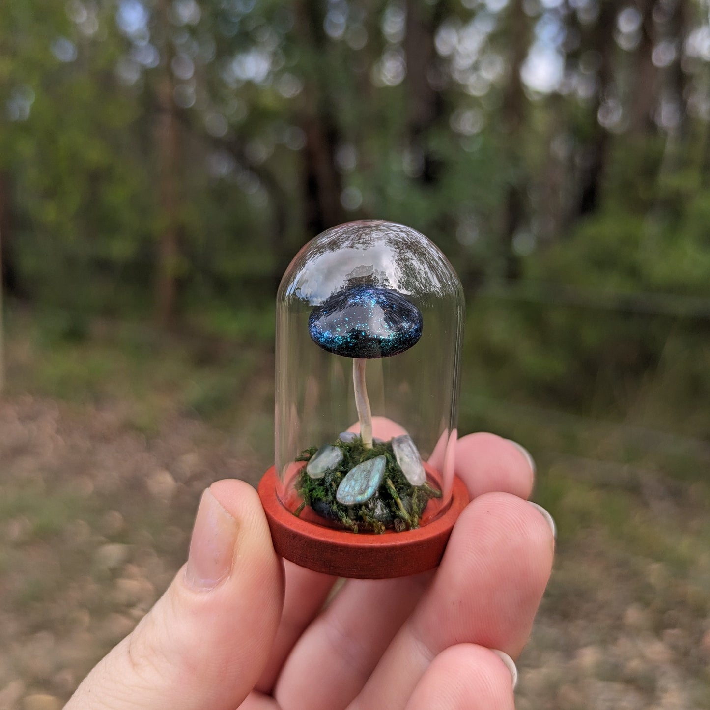 Miniature Fantasy Mushroom Terrarium Dome | Moonlight - Tall