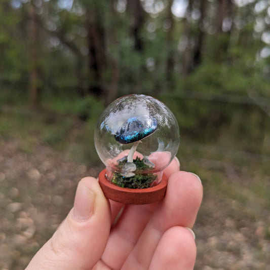 Miniature Fantasy Mushroom Terrarium Dome | Moonlight - Round