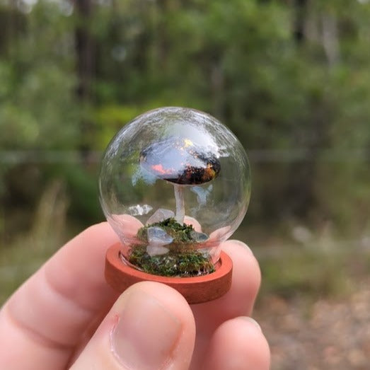 Miniature Fantasy Mushroom Terrarium Dome | Ember - Round