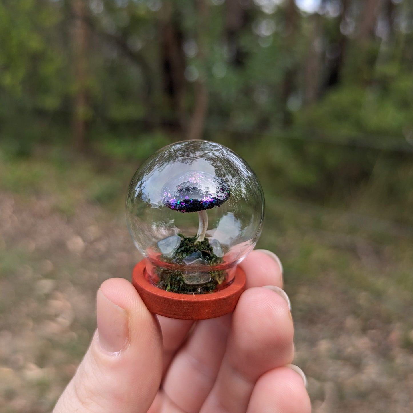 Miniature Fantasy Mushroom Terrarium Dome | Cosmic - Round