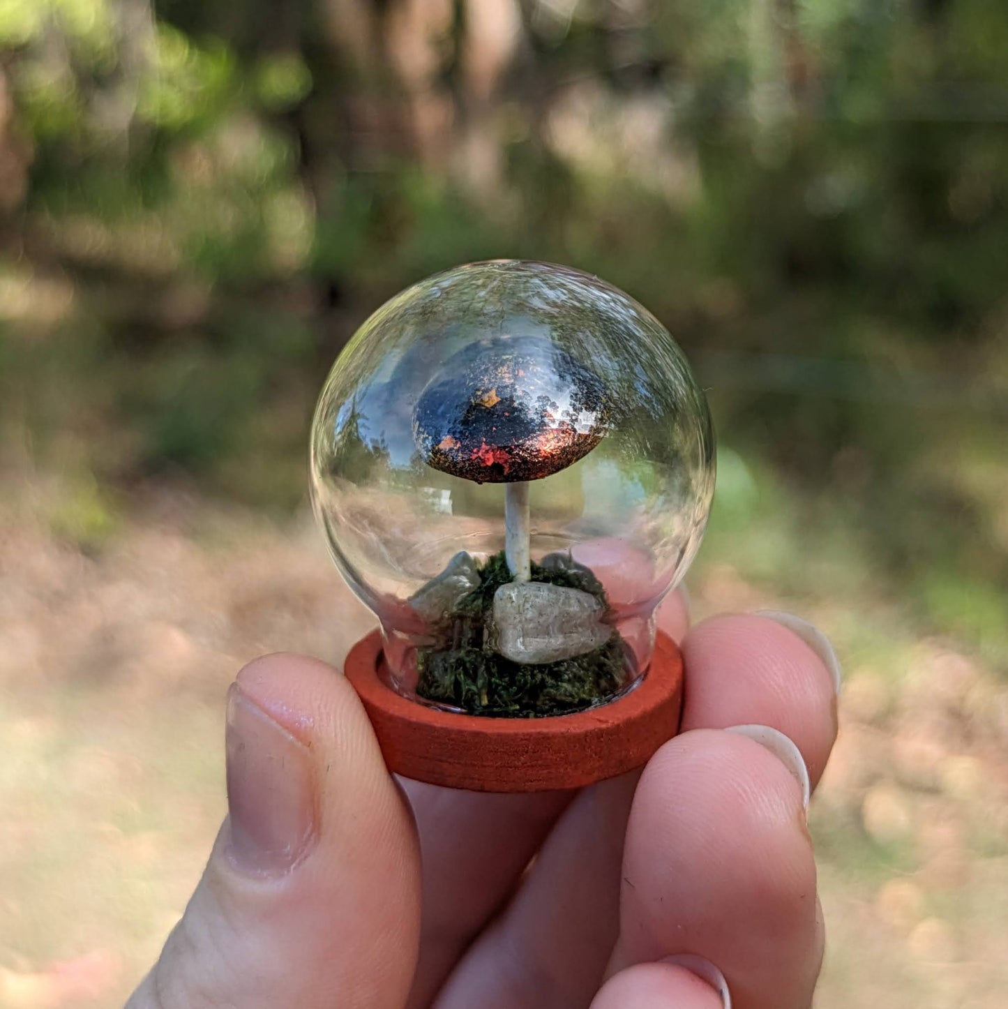 Miniature Fantasy Mushroom Terrarium Dome | Ember - Round