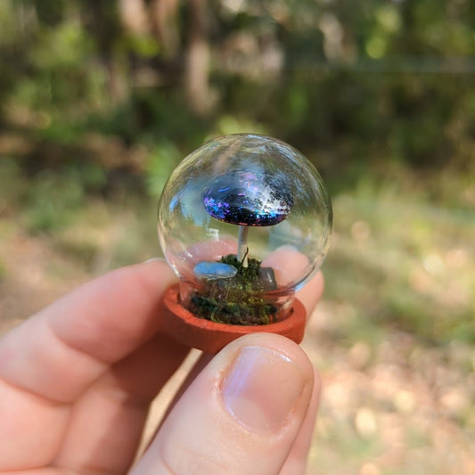 Miniature Fantasy Mushroom Terrarium Dome | Cosmic - Round