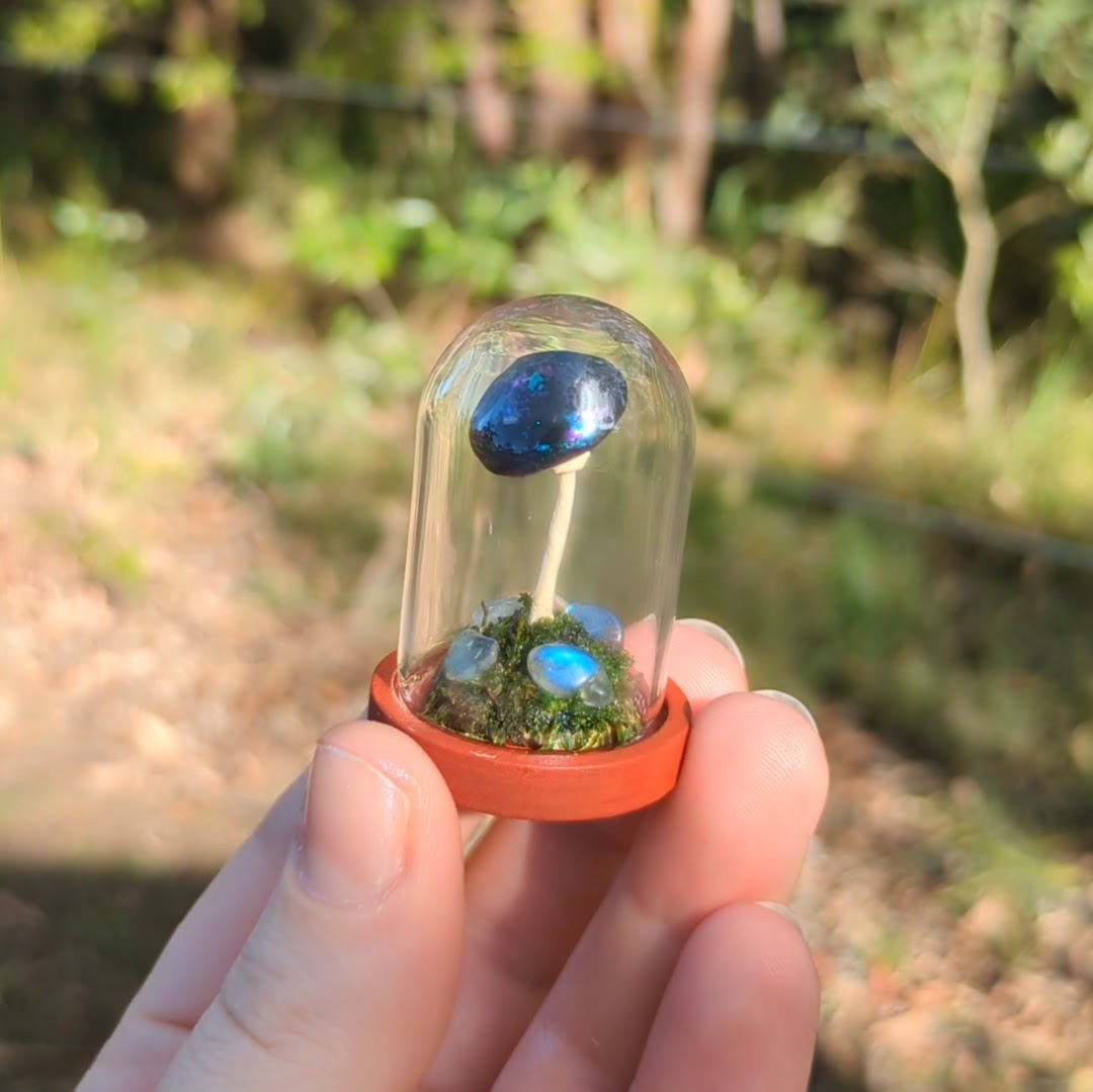 Miniature Fantasy Mushroom Terrarium Dome | Cosmic - Tall