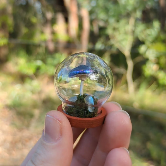 Miniature Fantasy Mushroom Terrarium Dome | Cosmic - Round