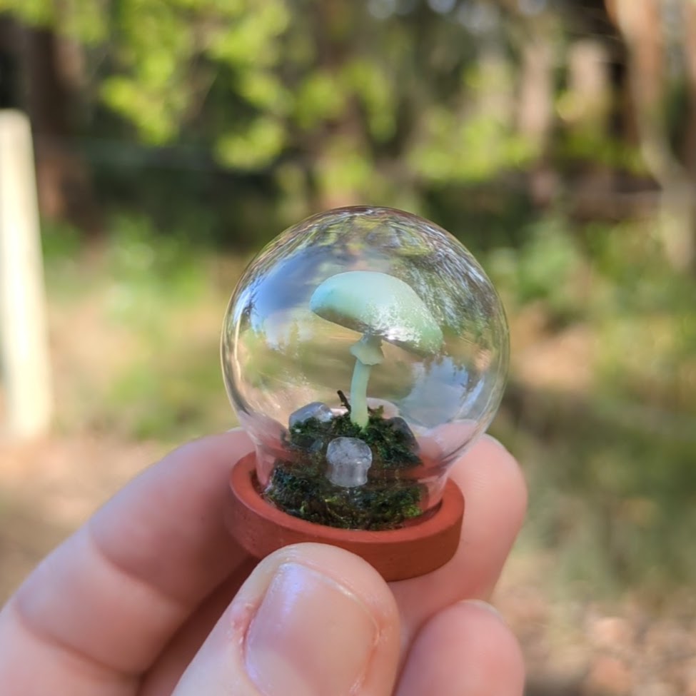 Miniature Fantasy Mushroom Terrarium Dome | Luminescent - Round