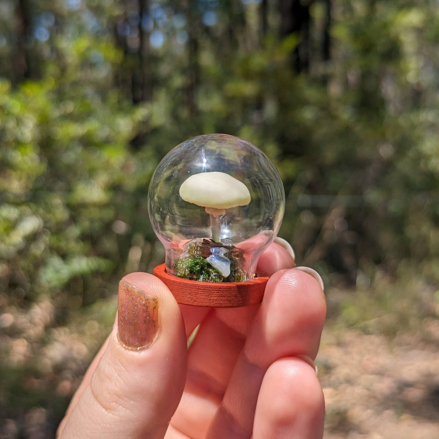 Miniature Fantasy Mushroom Terrarium Dome | Luminescent - Round