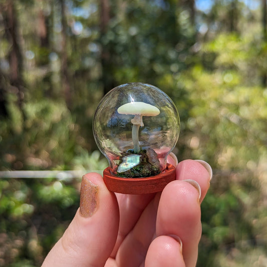 Miniature Fantasy Mushroom Terrarium Dome | Luminescent - Round