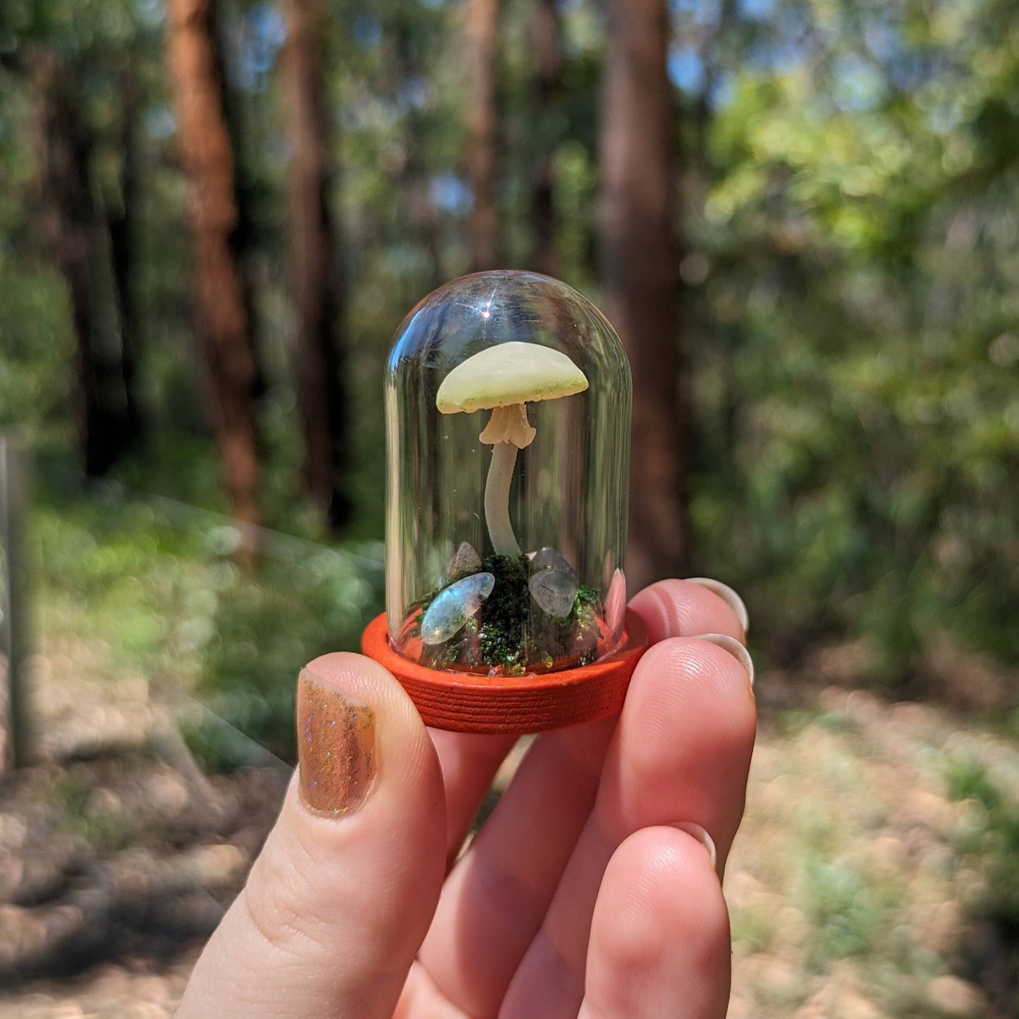 Miniature Fantasy Mushroom Terrarium Dome | Luminescent - Tall