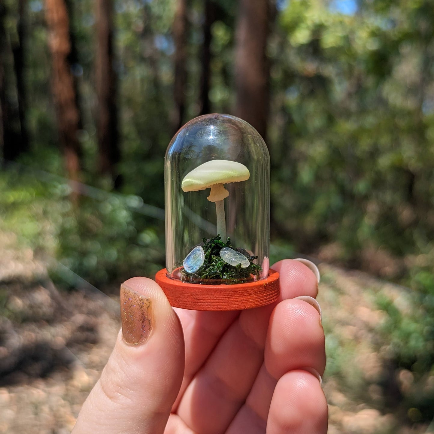 Miniature Fantasy Mushroom Terrarium Dome | Luminescent - Tall